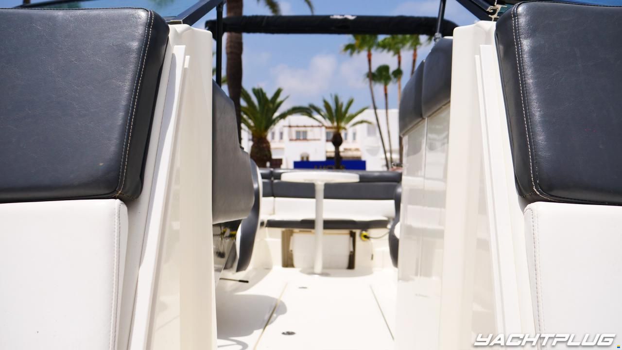 Sea Ray SPX 230