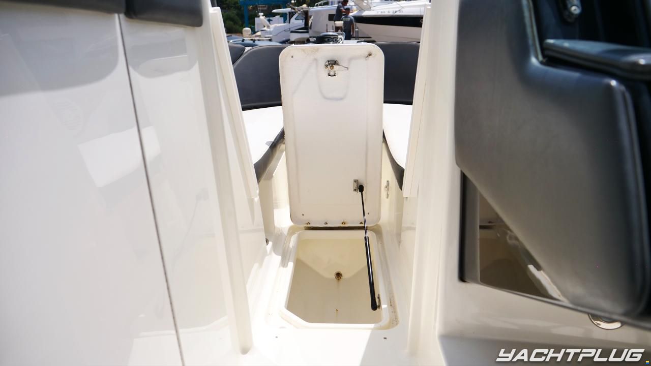 Sea Ray SPX 230