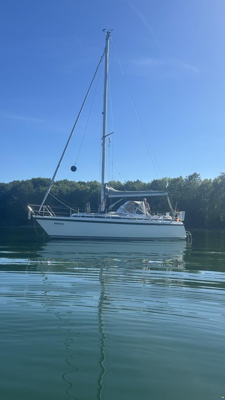 C-Yacht Compromis999