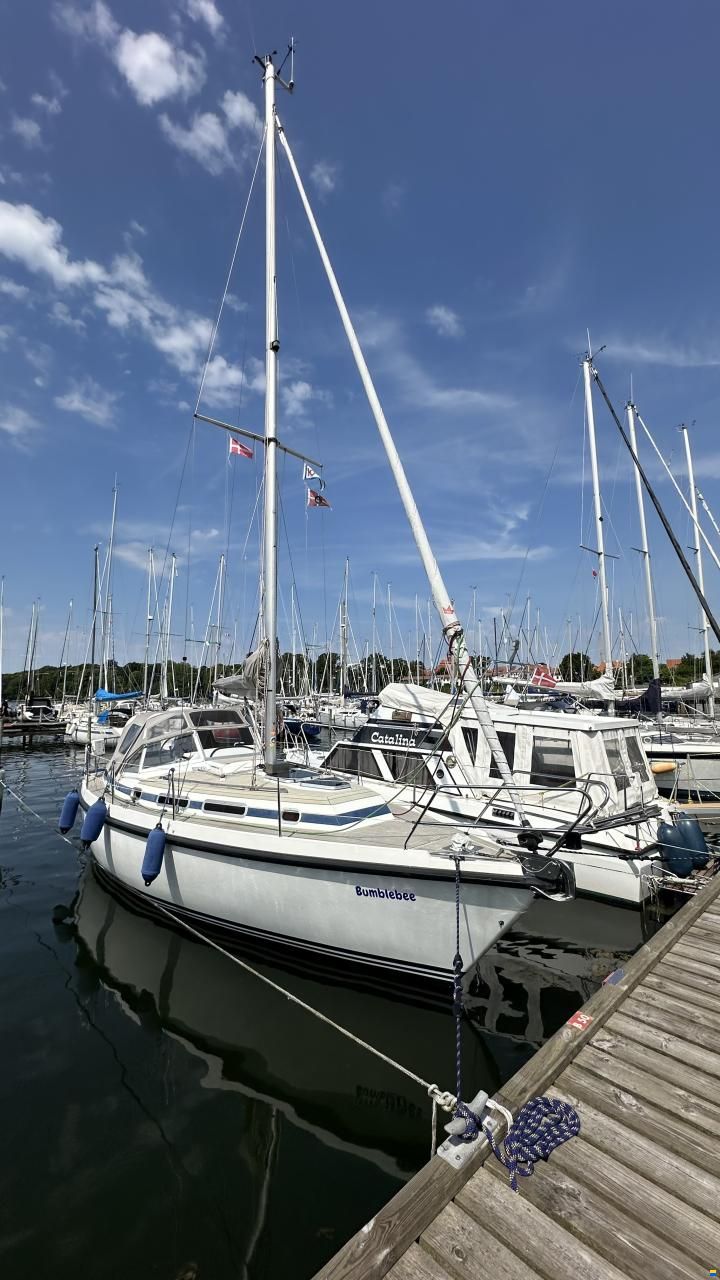 C-Yacht Compromis999