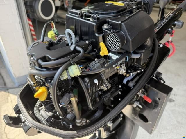 Mercury F 15 EH EFI