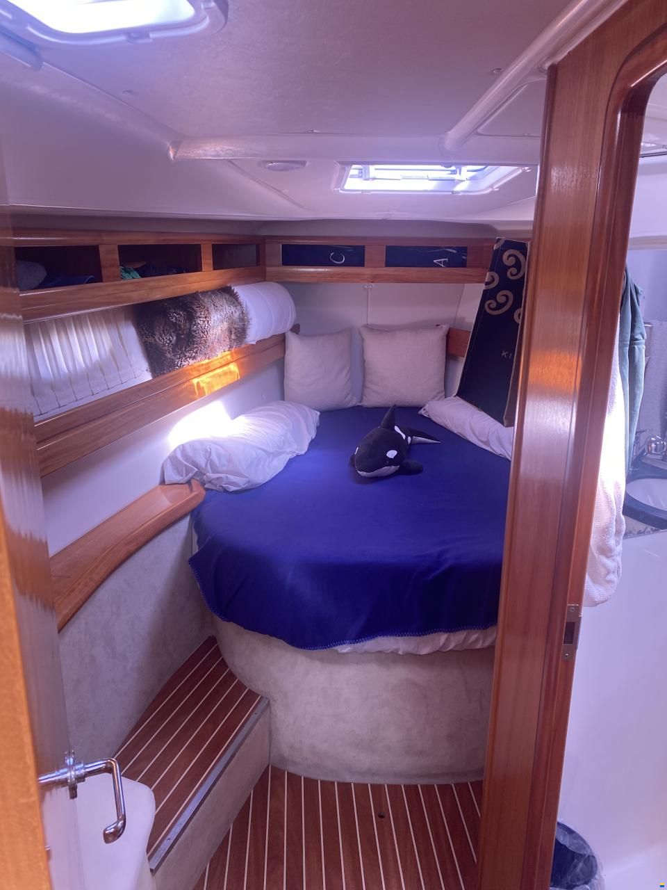 Bavaria 42 Cruiser