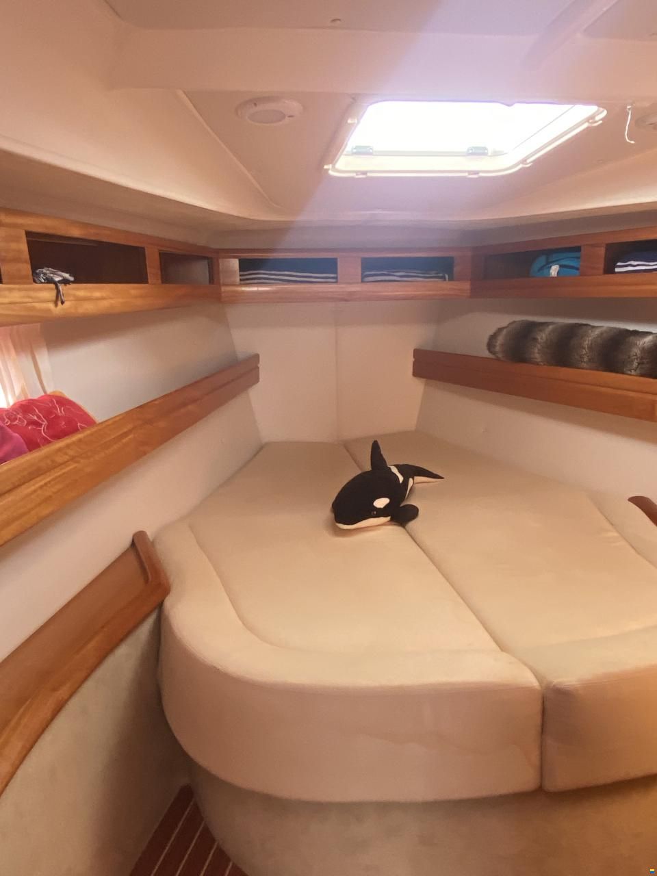 Bavaria 42 Cruiser