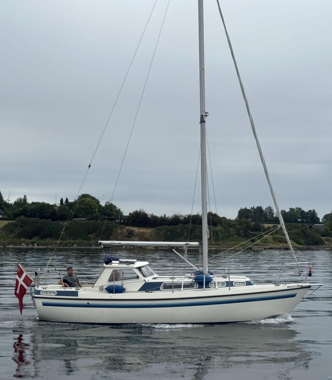 Mascot 28