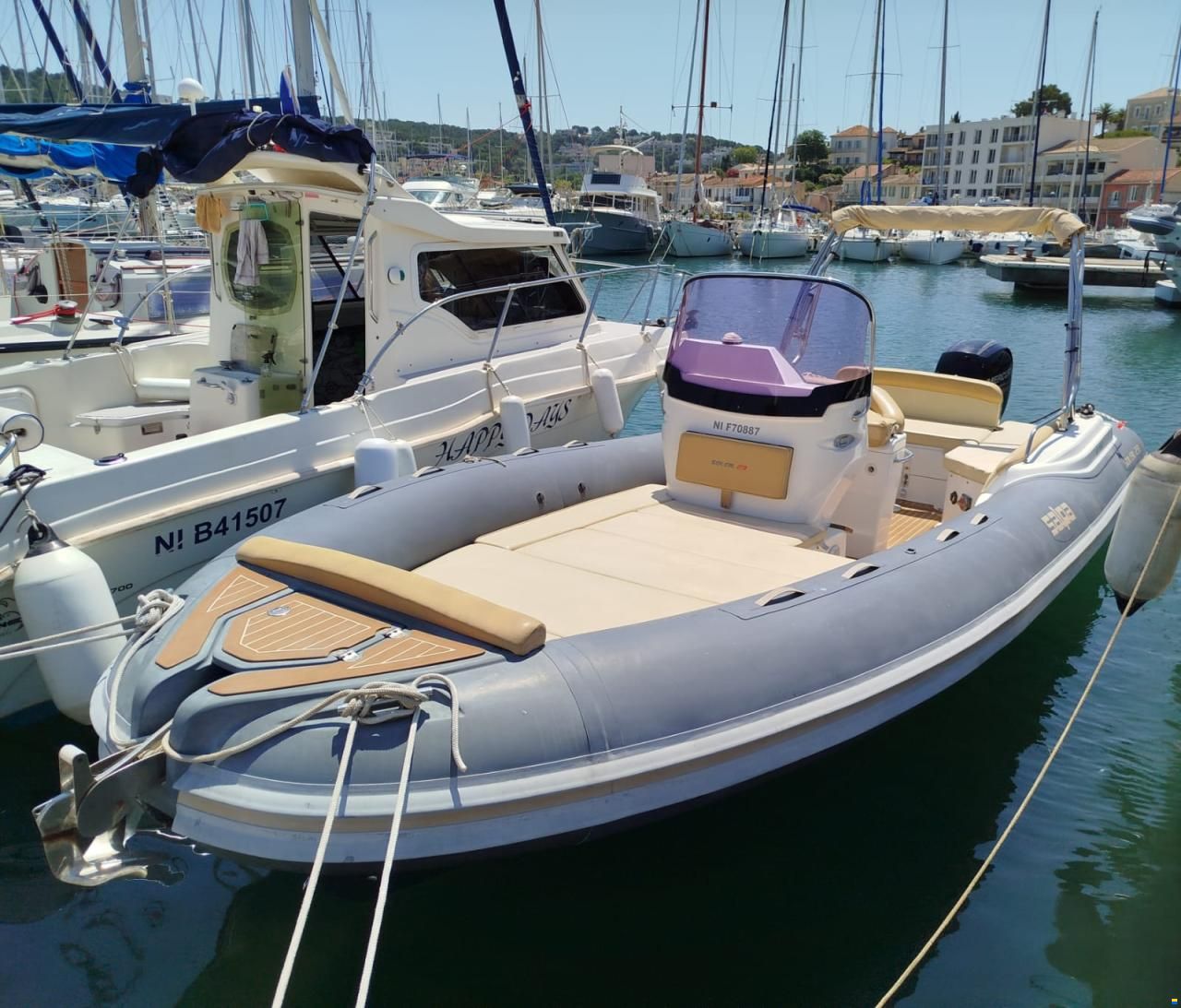 Salpa Soleil 23
