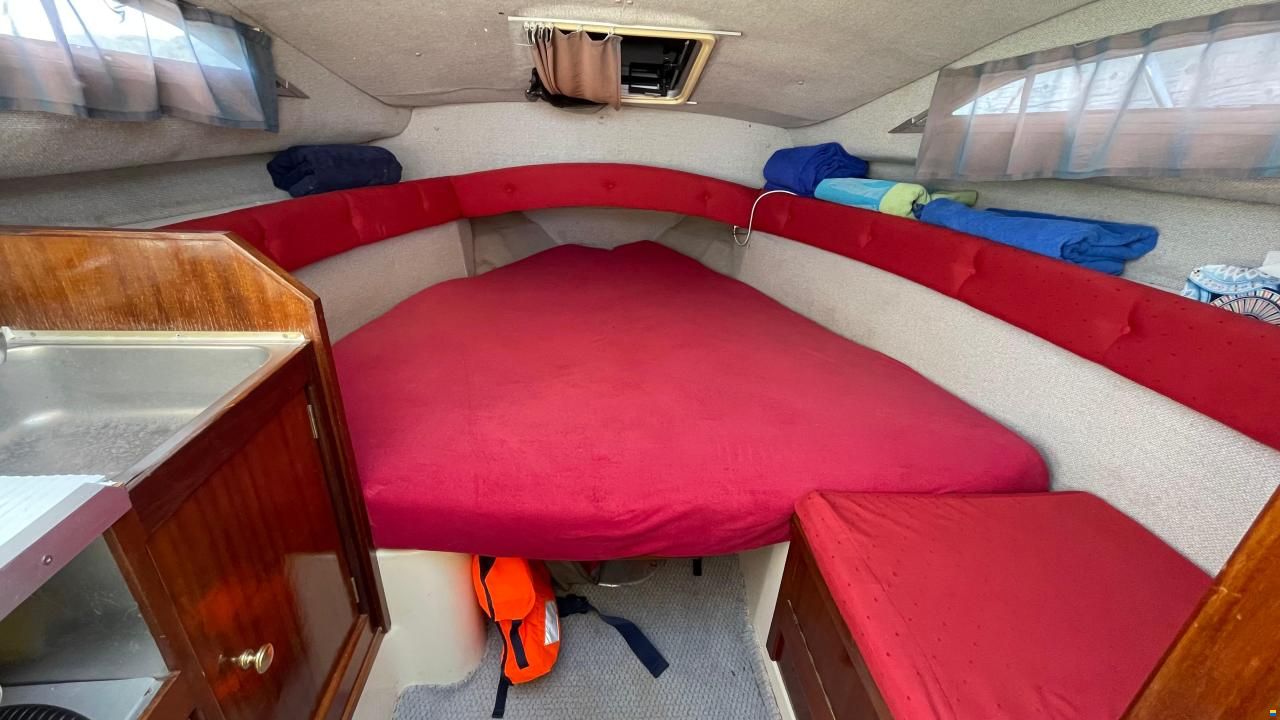 Sealine Gepflegtes Boot