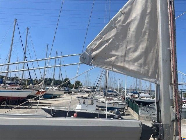 Amateur Endurance 35