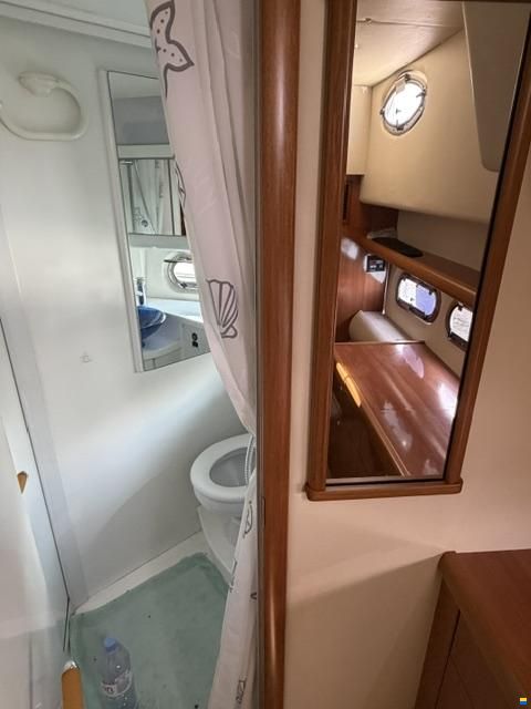 Sealine C39