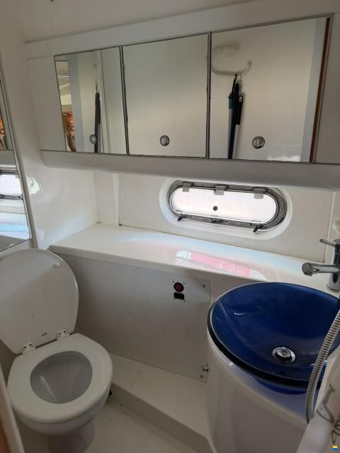 Sealine C39