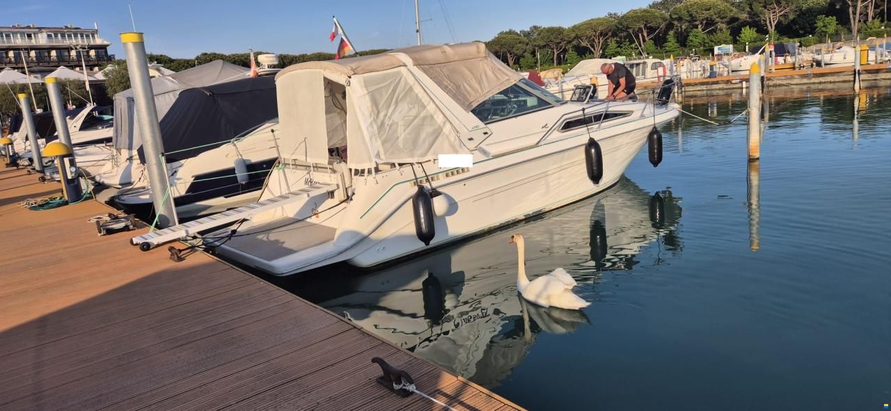 Sea Ray 290 DA