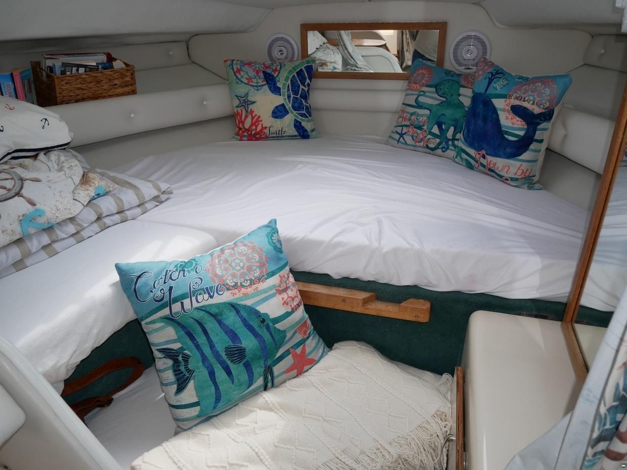 Sea Ray 290 DA