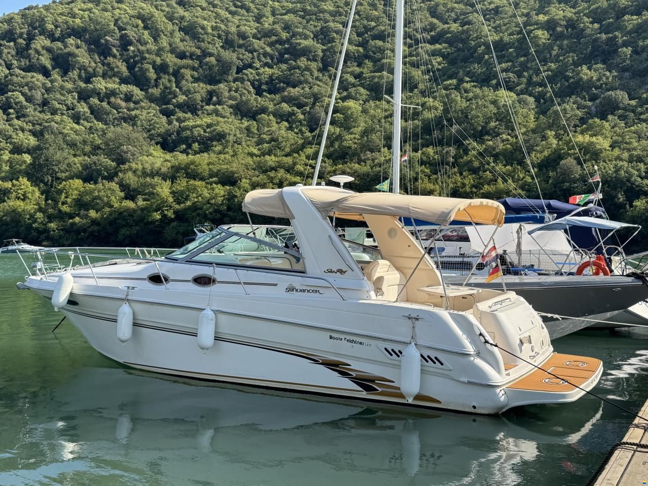 Sea Ray Sundancer 290