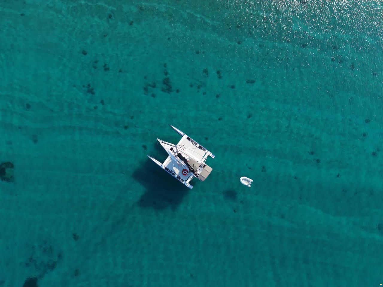Dragonfly 36 ft Performance