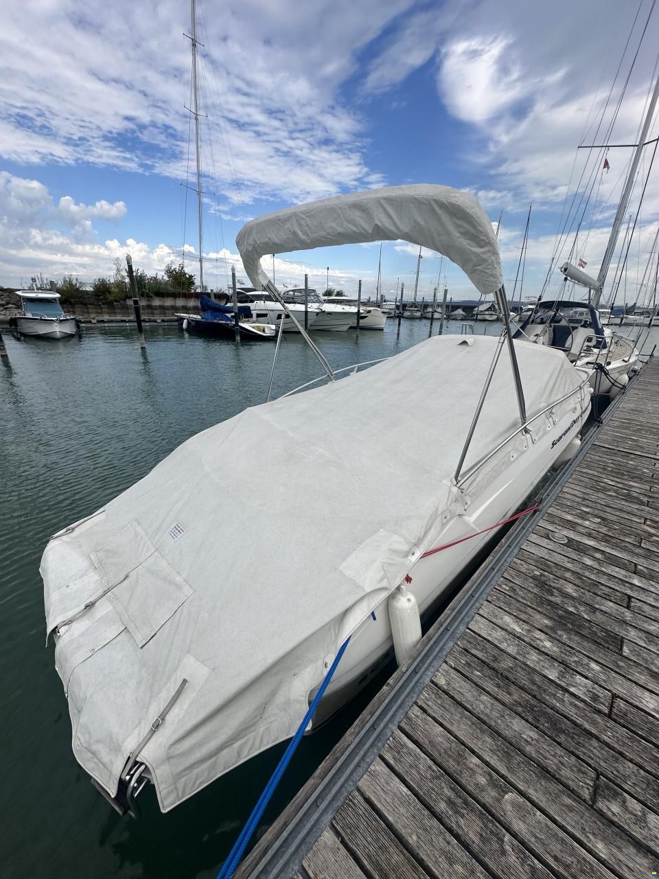 Scarani Day Cruiser 22