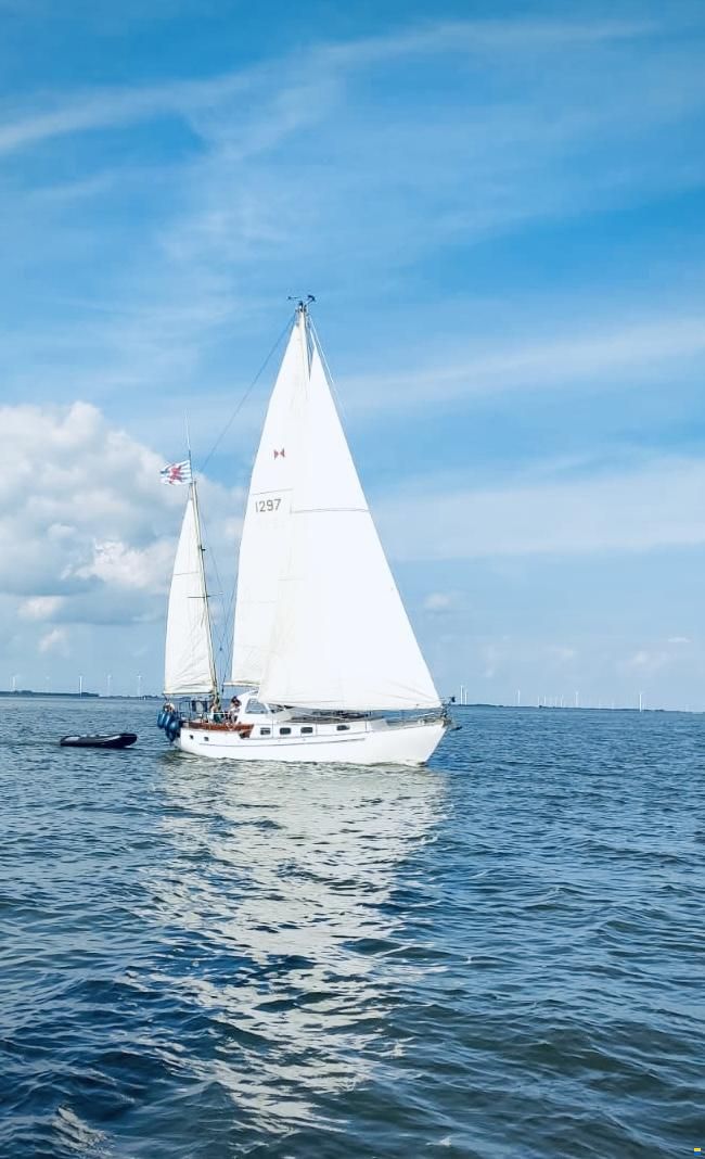 Koopmans 33