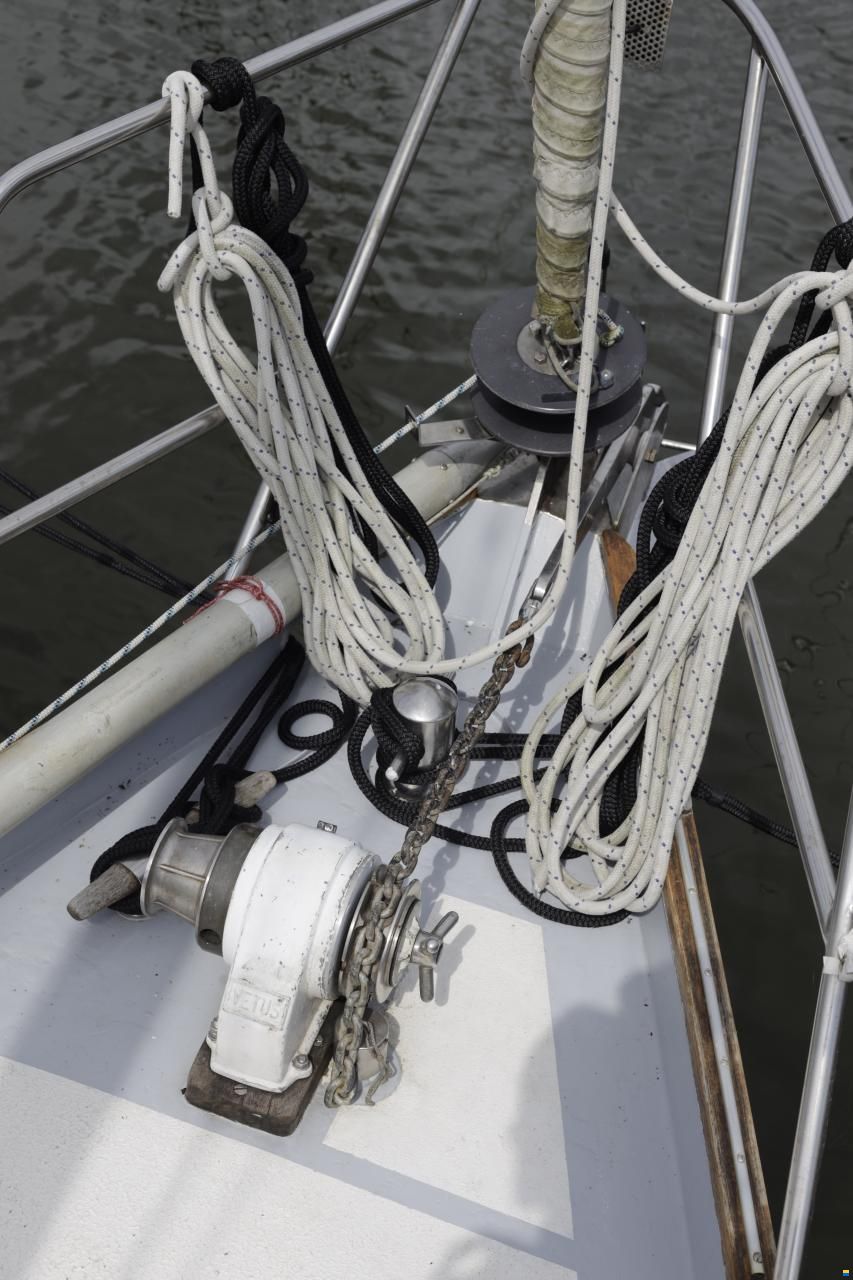 Koopmans 33