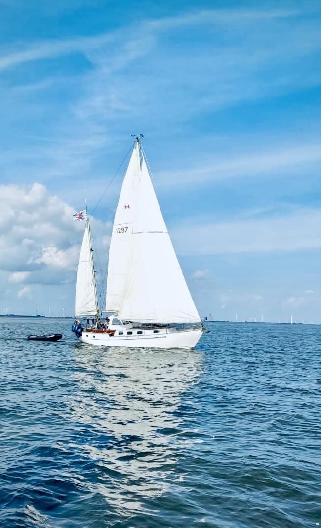 Koopmans 33