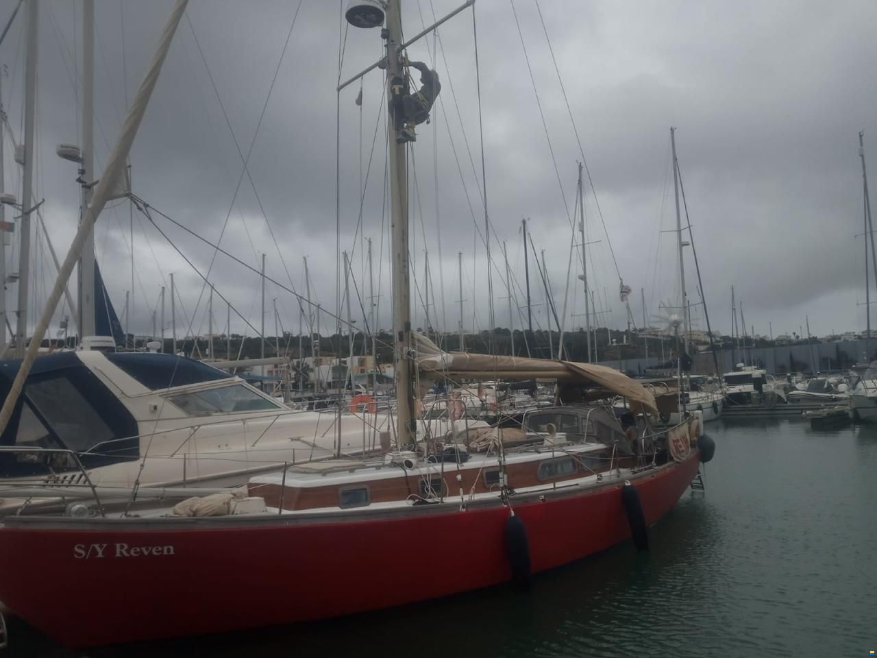Samson Marines C-Spirit