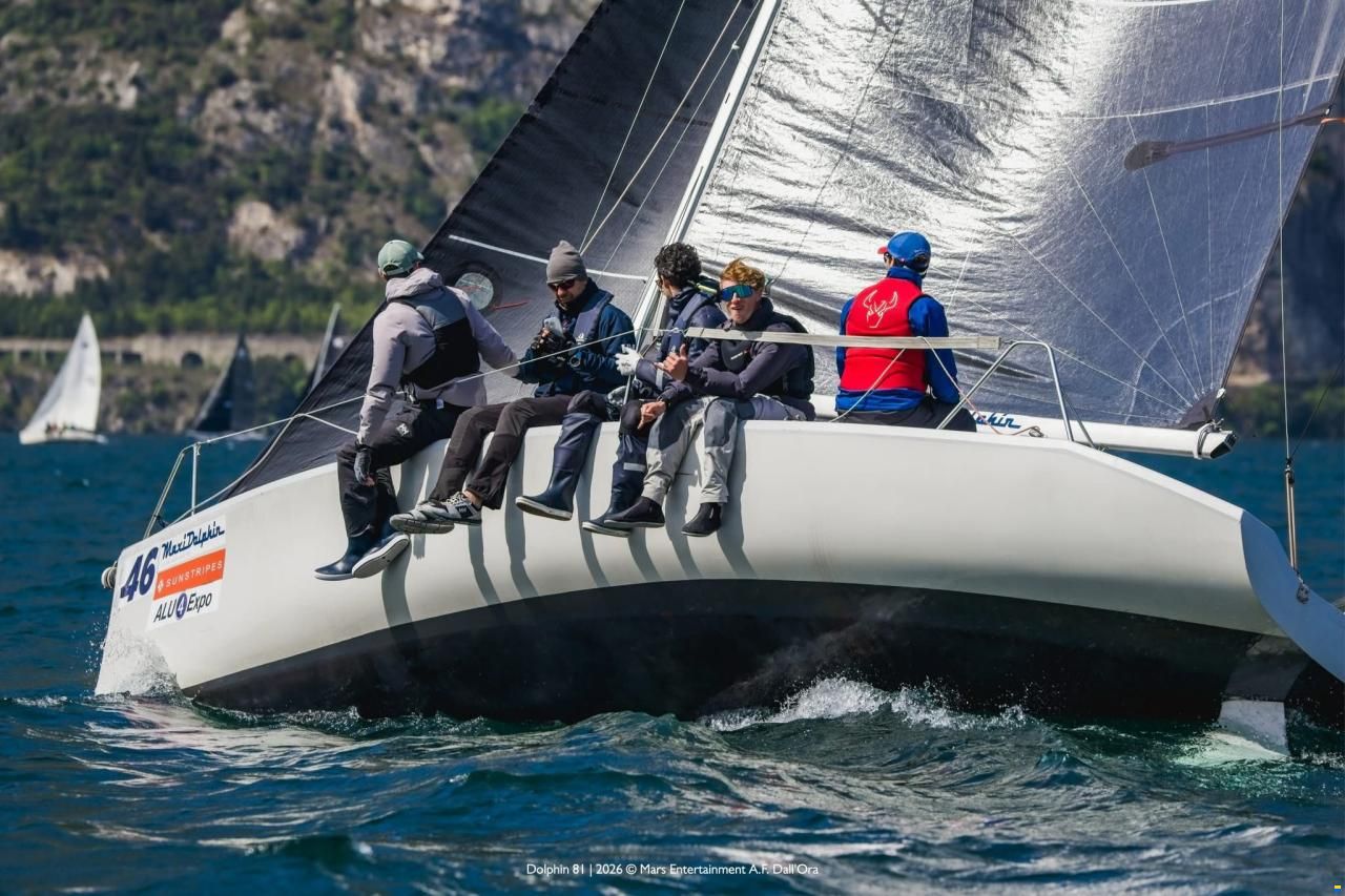 Maxi Dolphin Dolphin81
