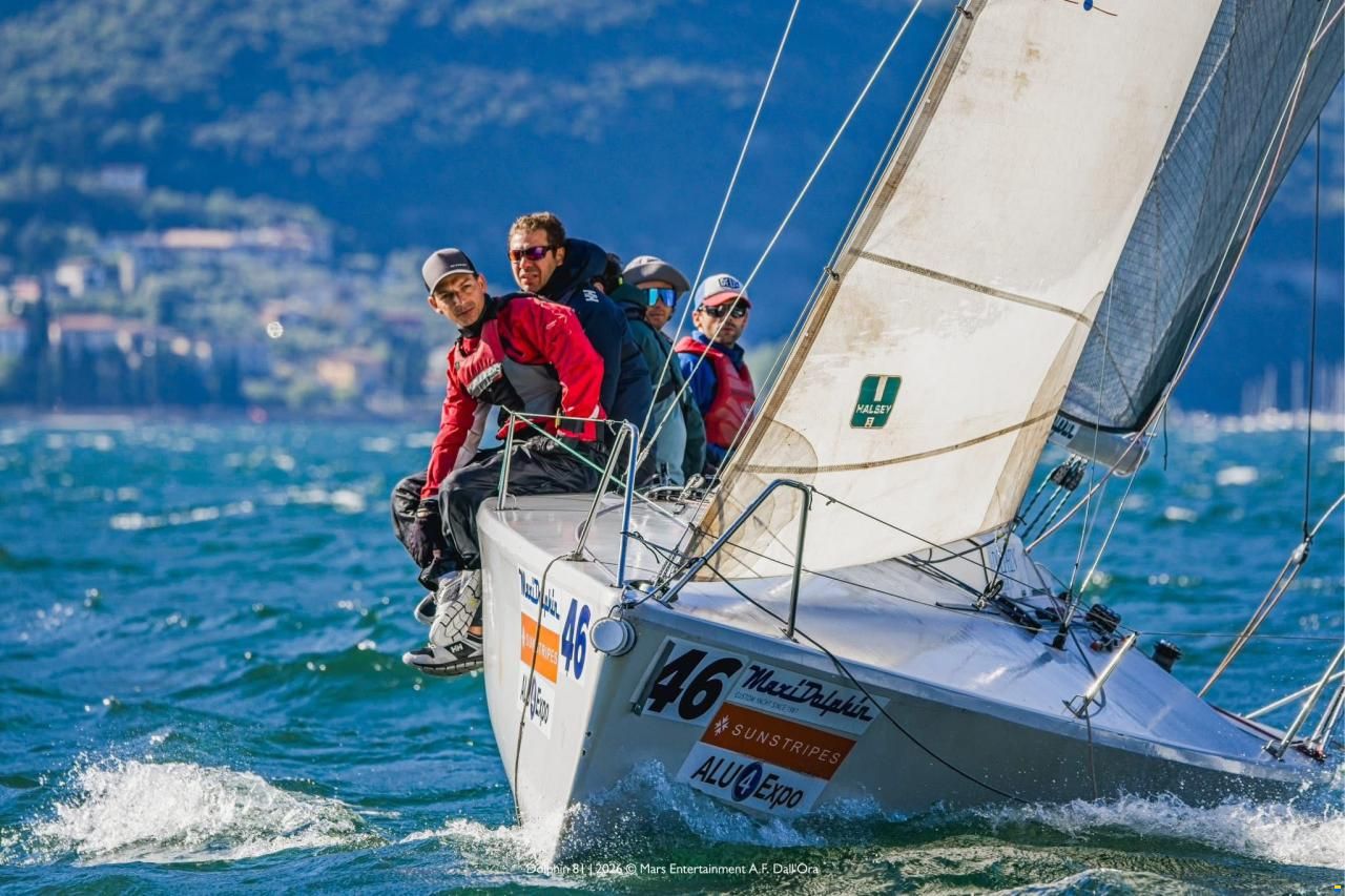 Maxi Dolphin Dolphin81