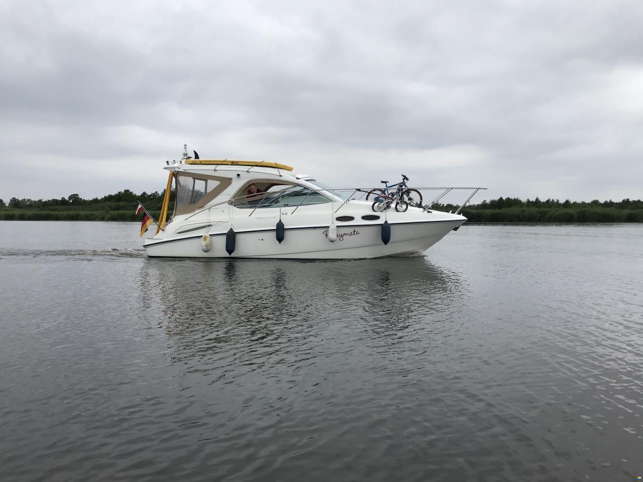 Sealine SC29