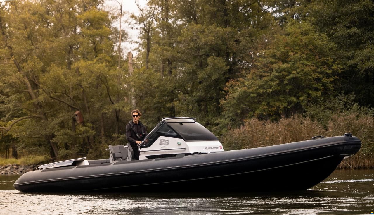 Goldfish 29 Sport