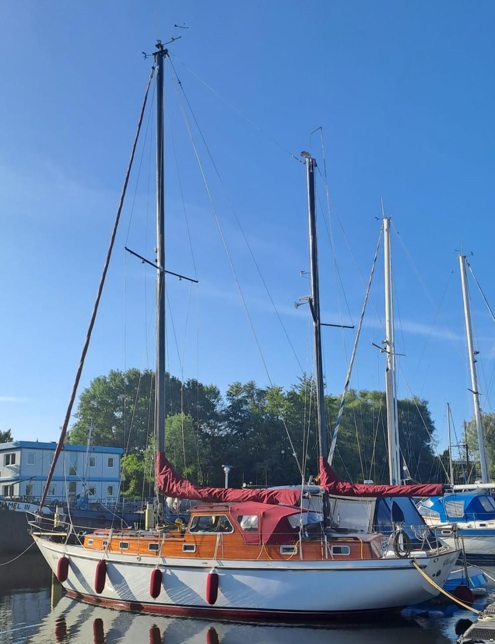 Frans Maas NL Calypso 43