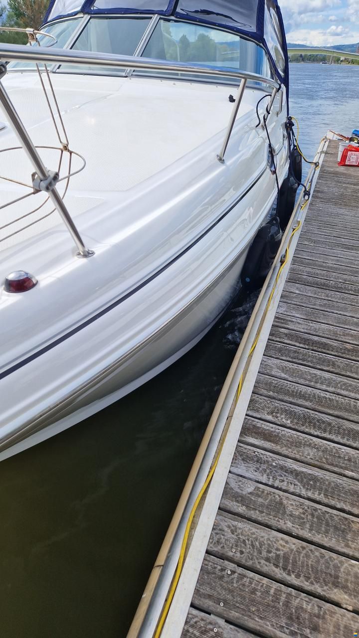 Sea Ray Sundancer 315