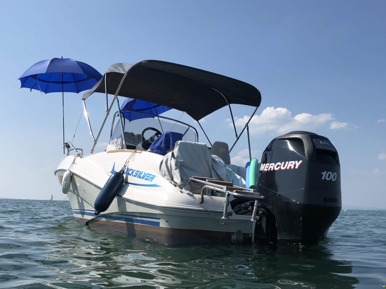 Quicksilver 555 Commander