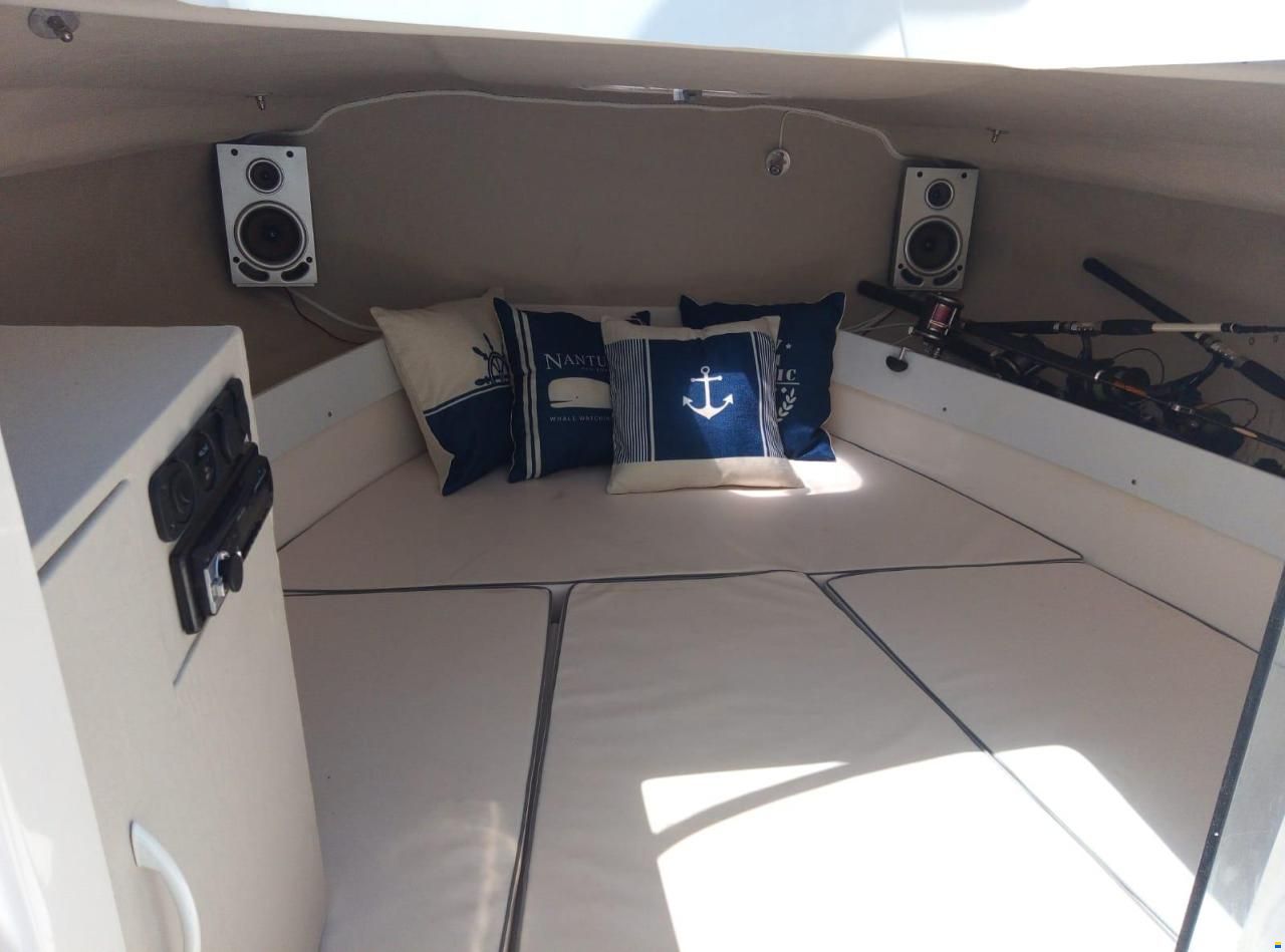 Quicksilver QS 590 CRUISER