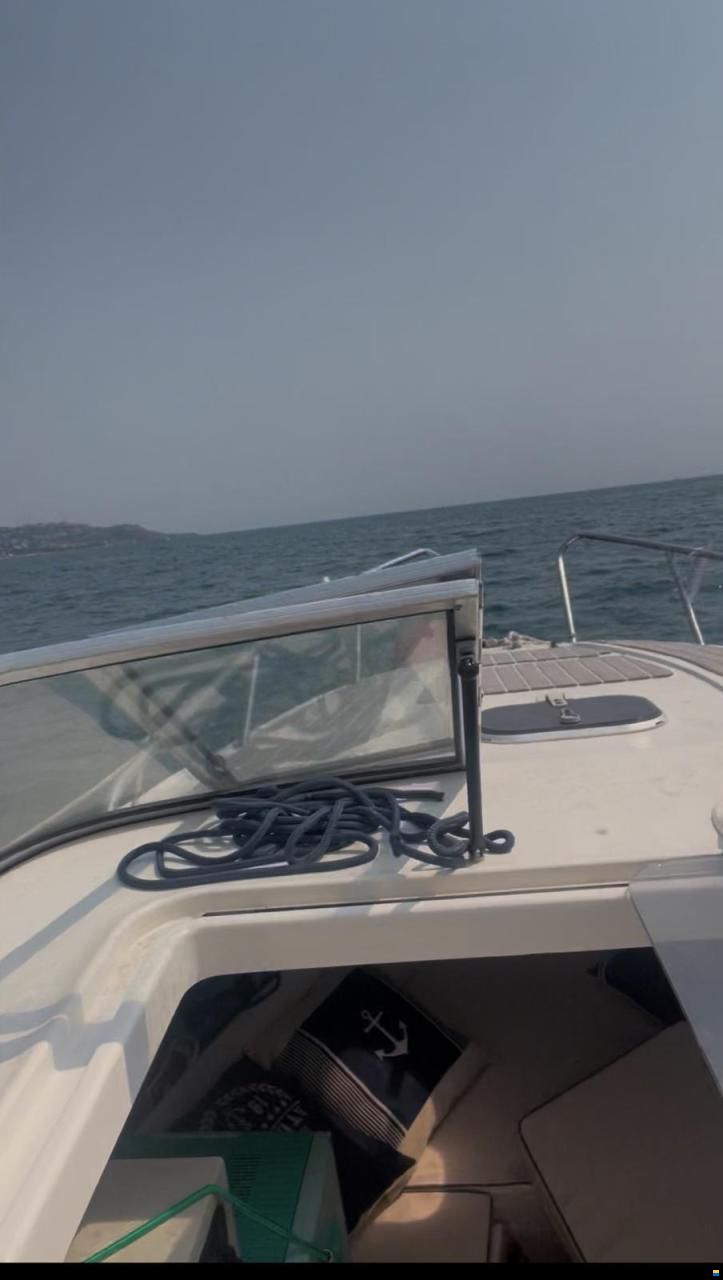 Quicksilver QS 590 CRUISER