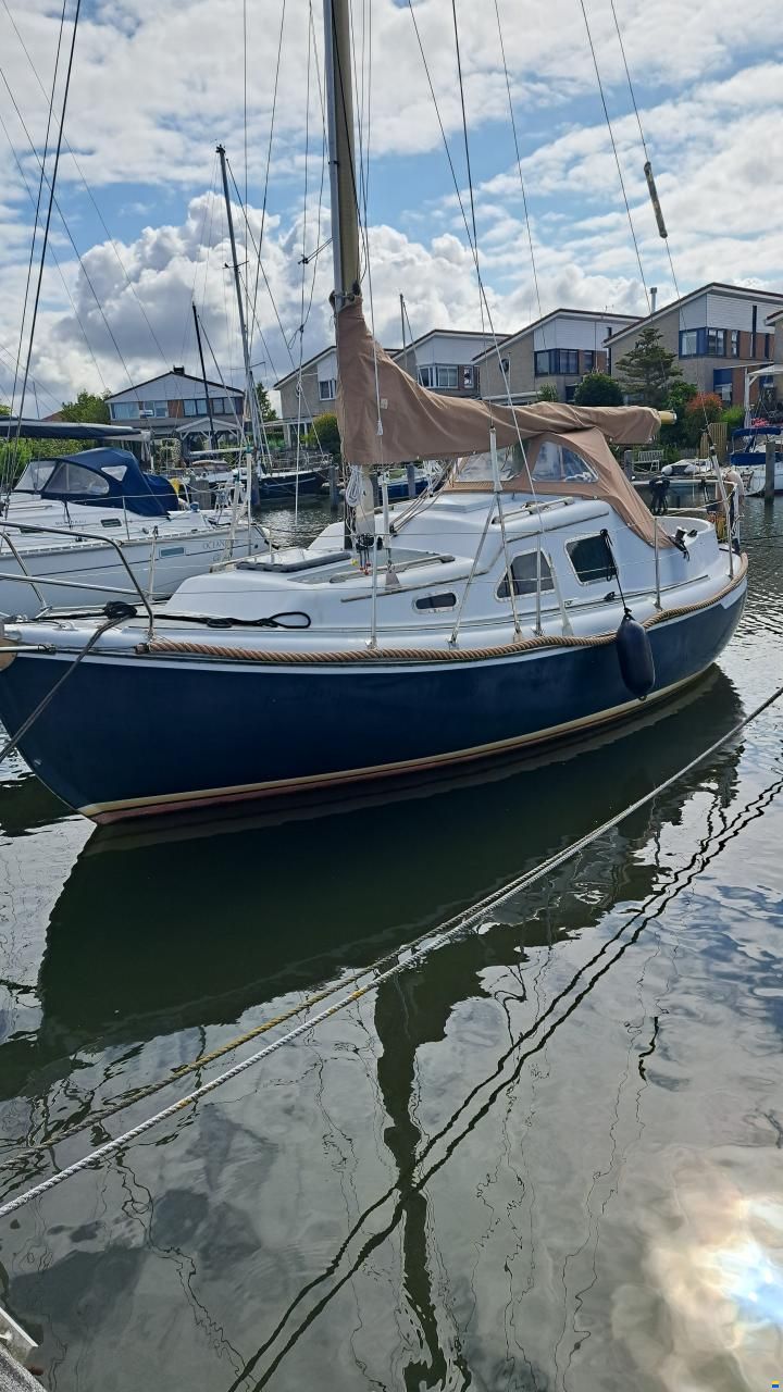 Midget 26