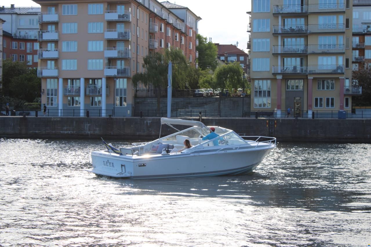 Bertram 28 Moppie