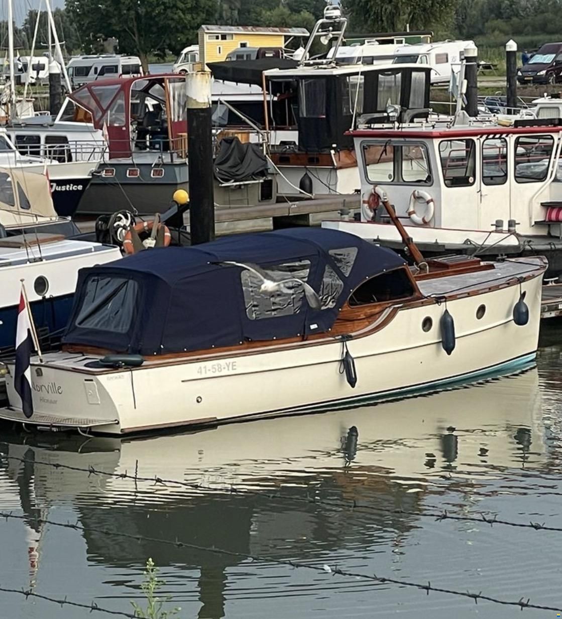Rapsody 29 ft OC Gold Line