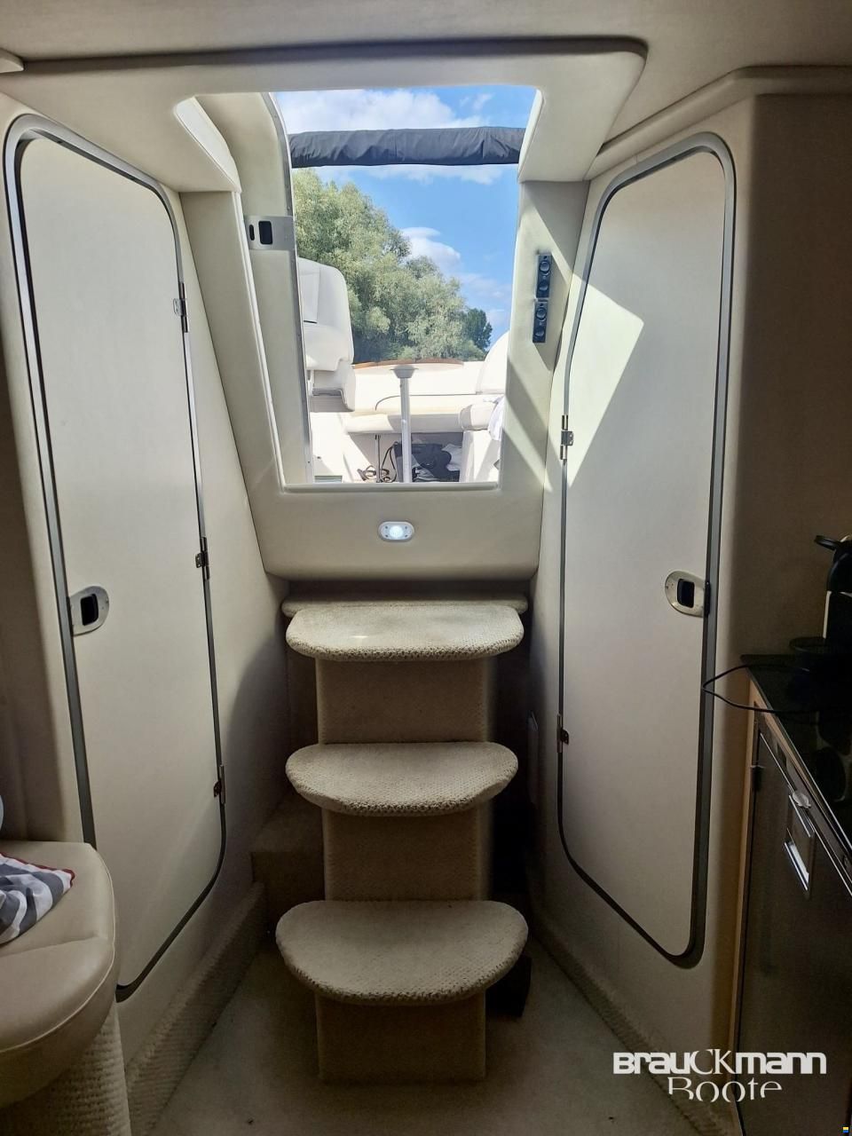 Bayliner 335