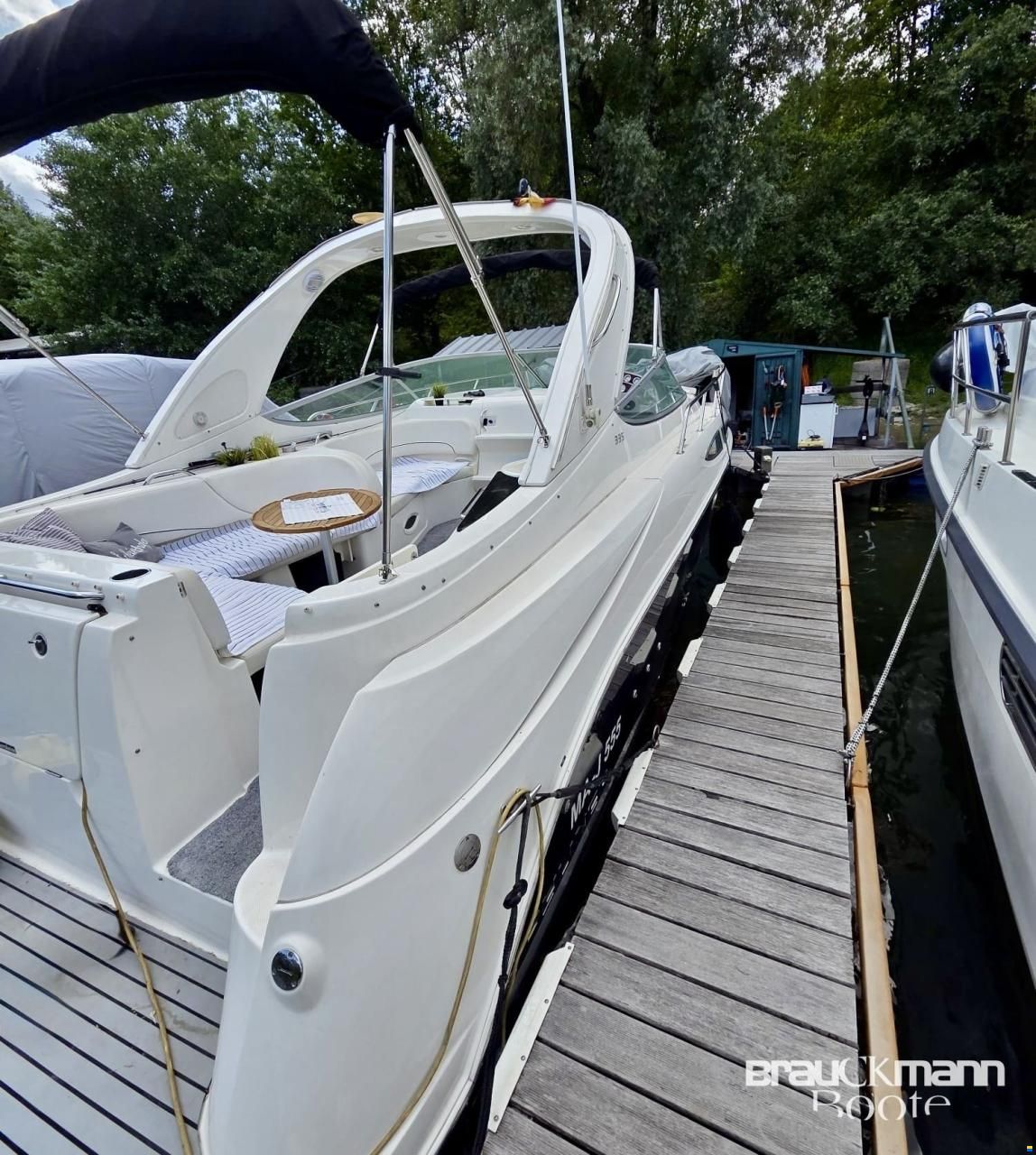 Bayliner 335
