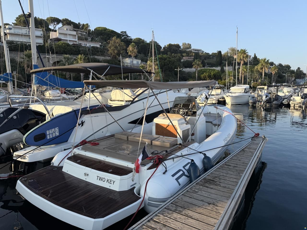 Renier R8