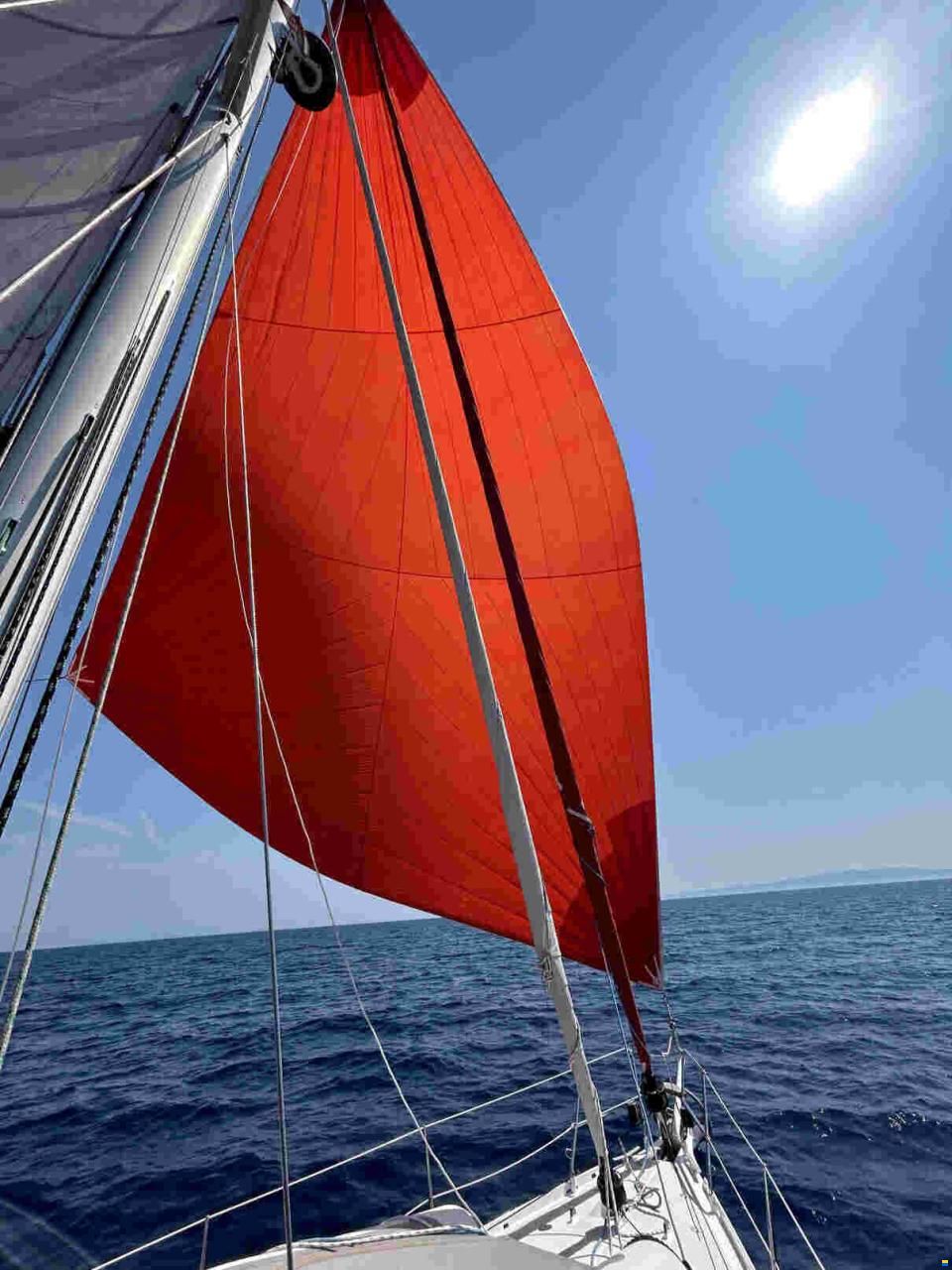 Alubat OVNI 445