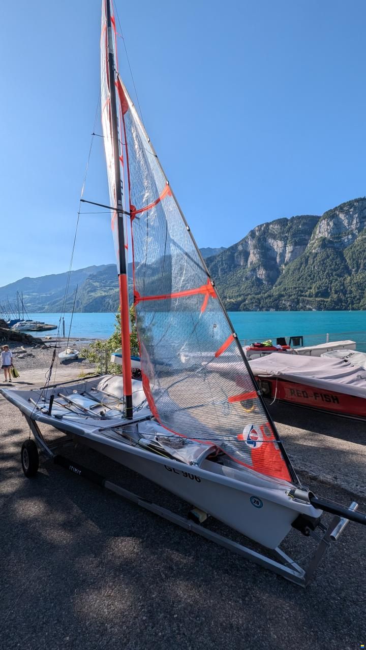 Ovington 29er
