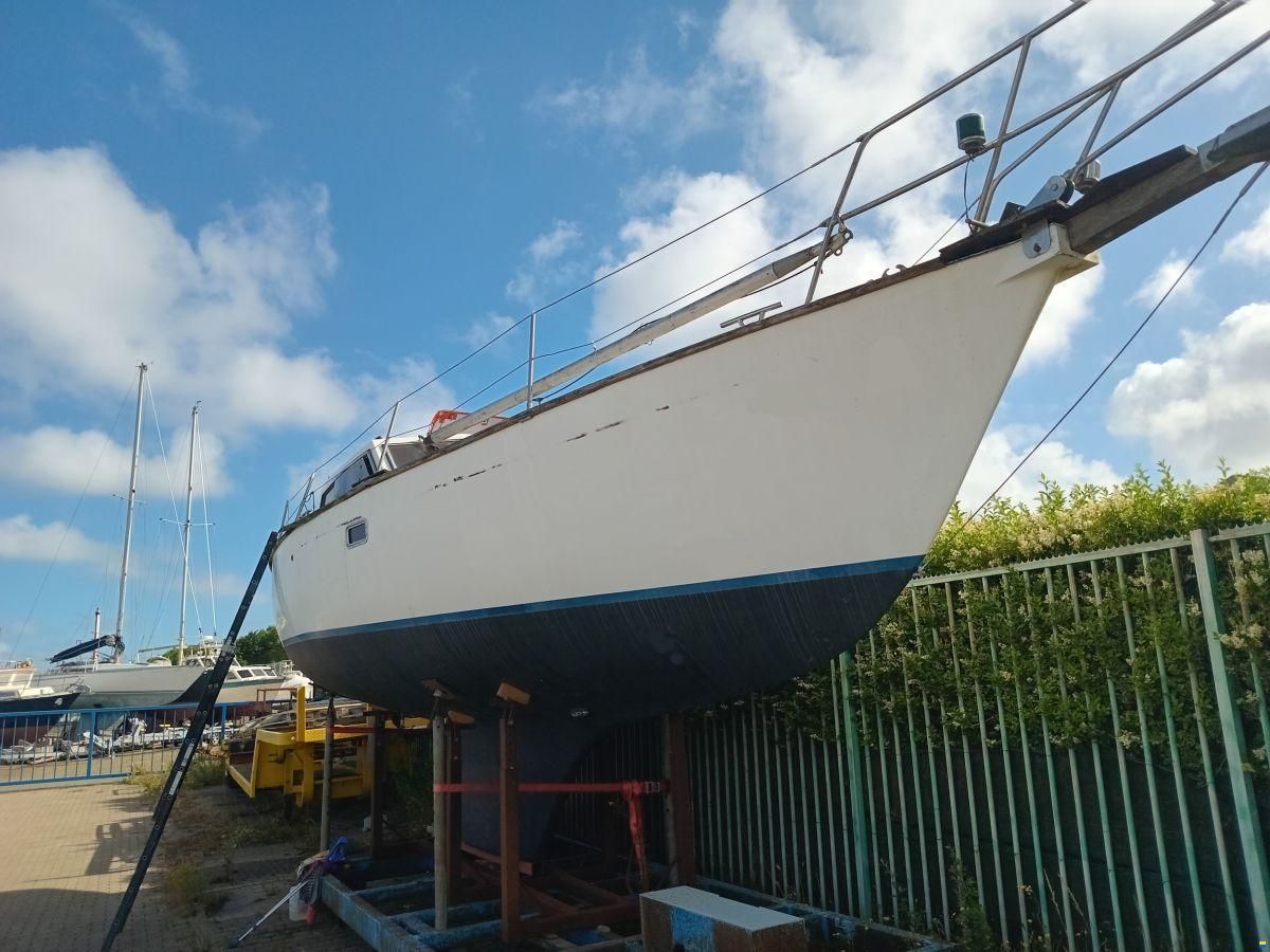 Colvic Victor 34