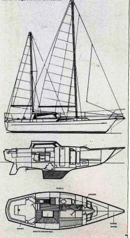 Colvic Victor 34