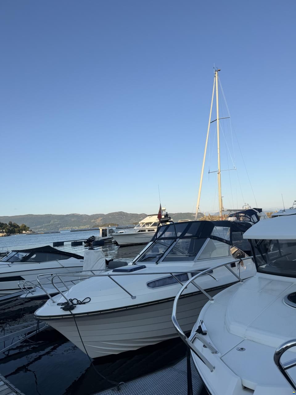 Marex Gambler