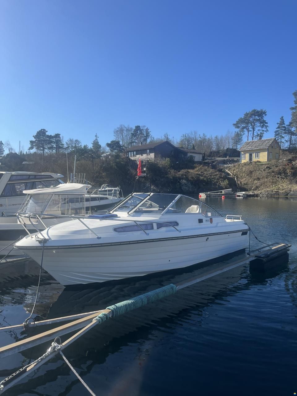 Marex Gambler