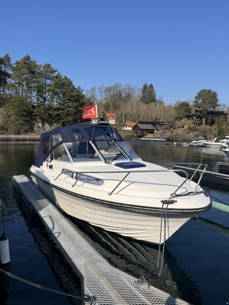Marex Gambler