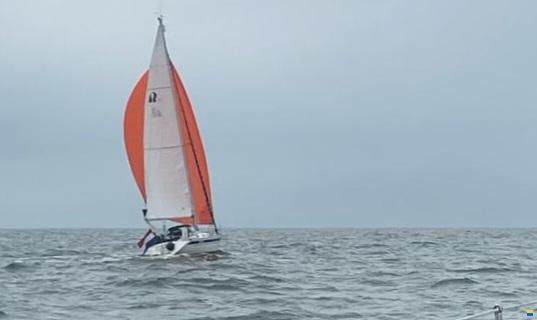 Hallberg-Rassy 31