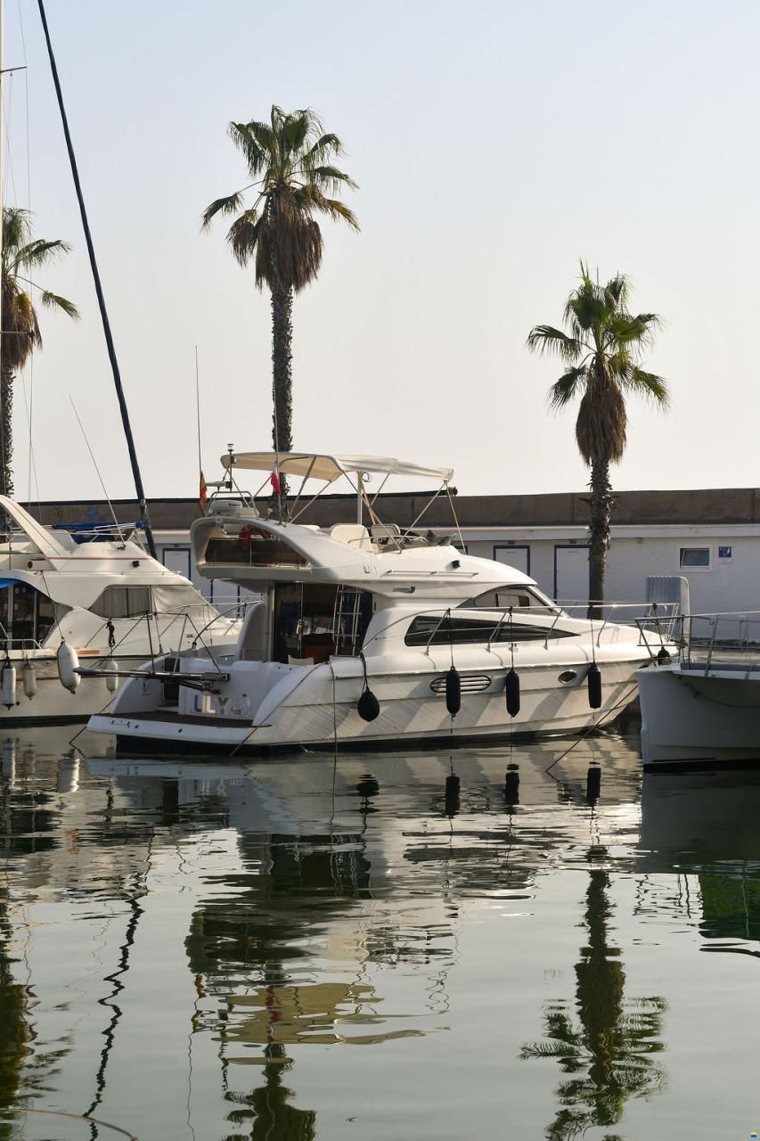 Astondoa 39