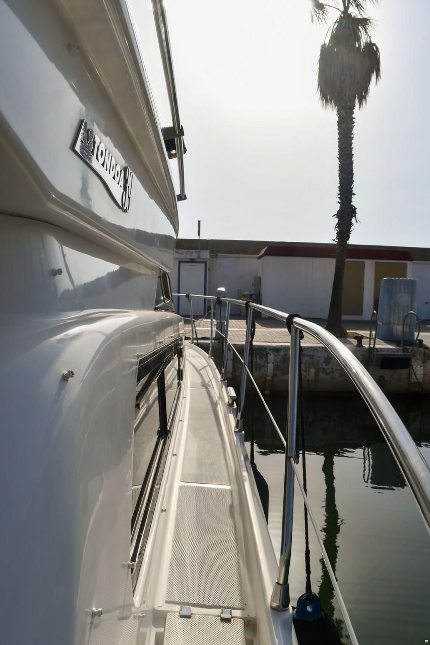 Astondoa 39