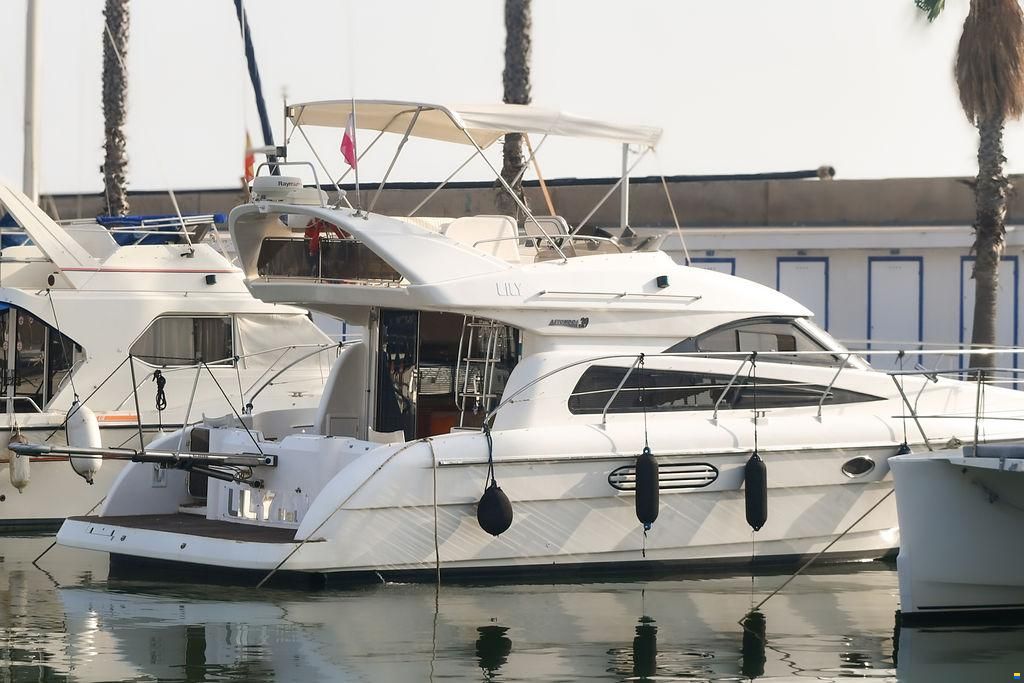 Astondoa 39