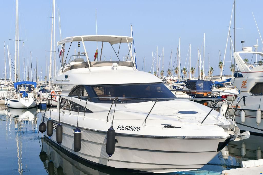 Astondoa 39