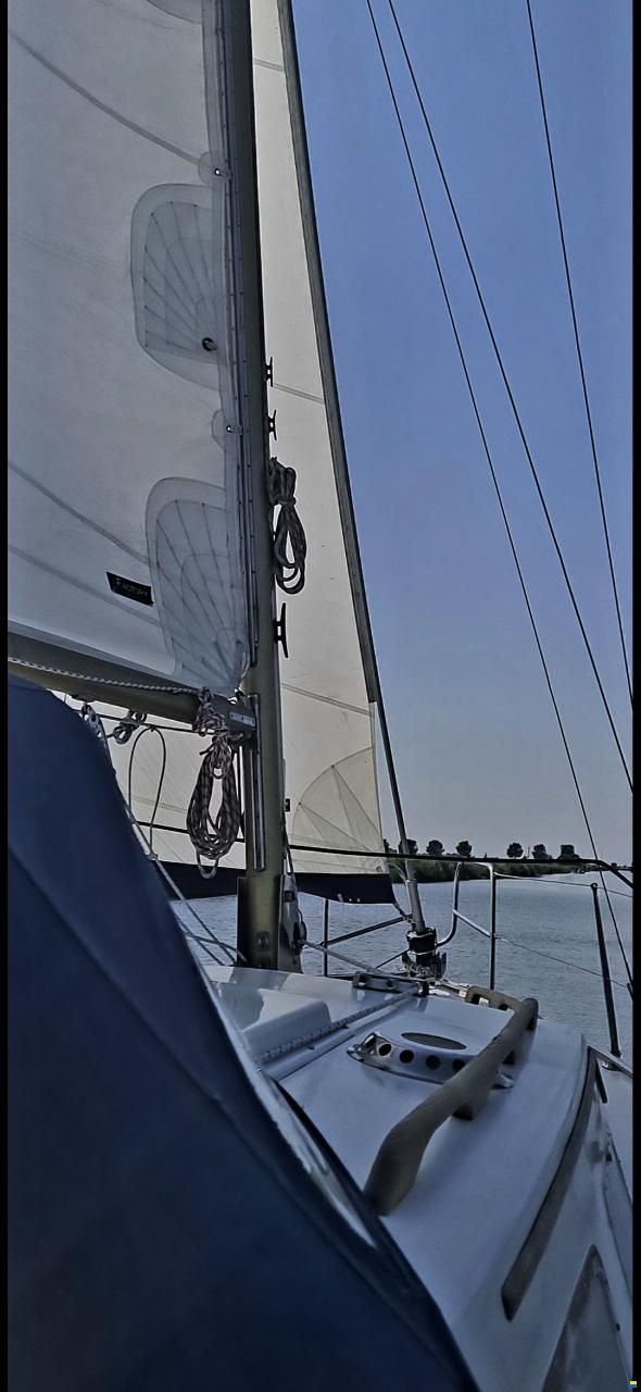 Fellowship 28